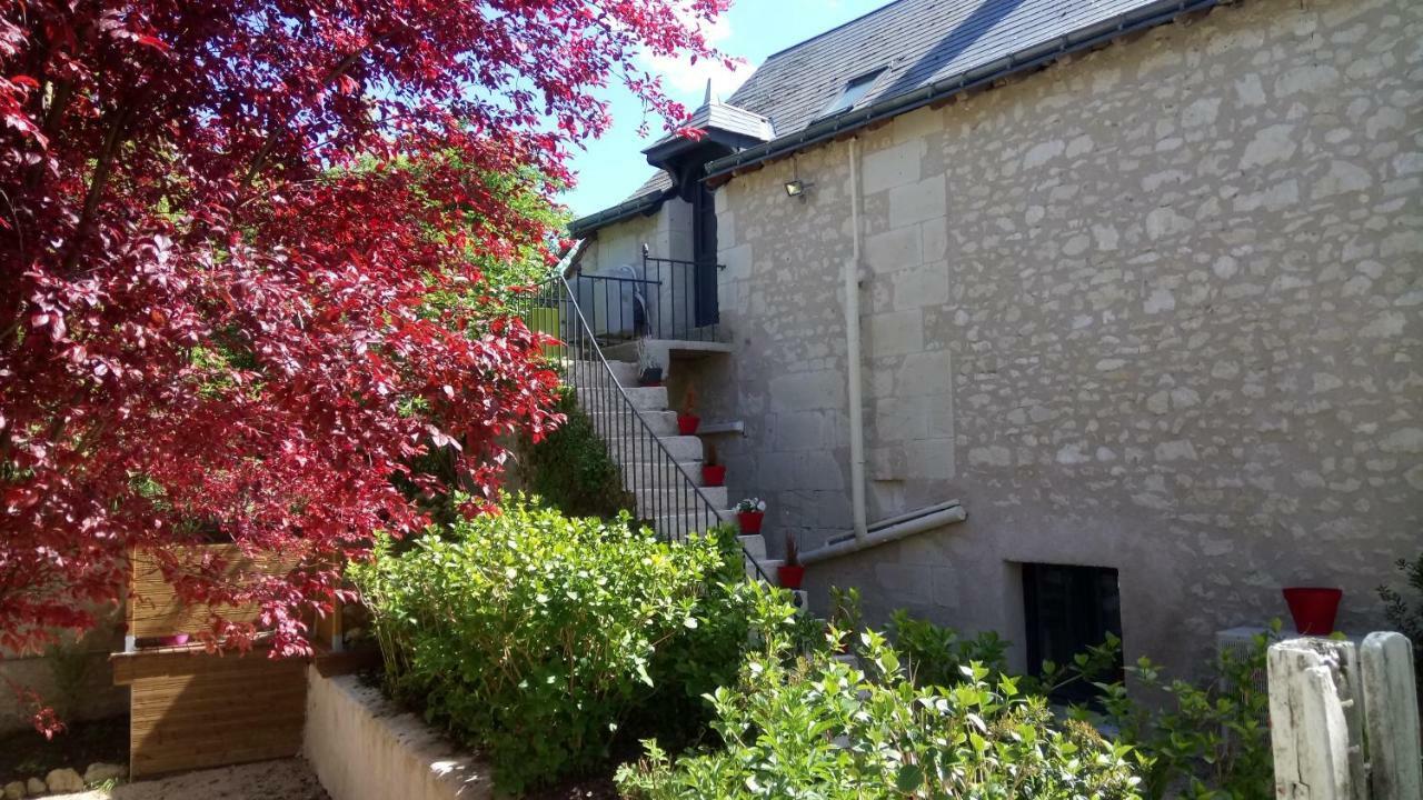 Gites Et Chambres Des Coteaux Sainte-Maure-de-Touraine Buitenkant foto